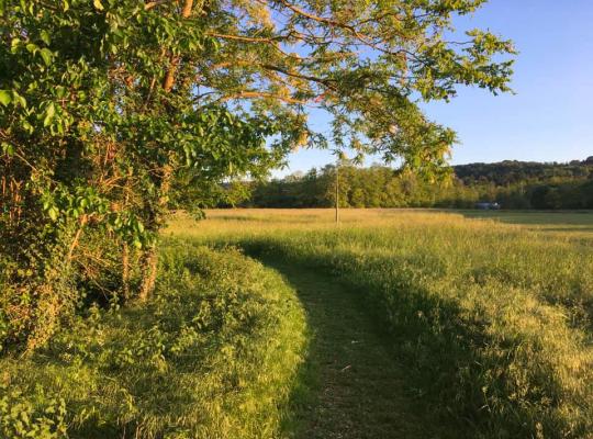 Chemin à Cormeilles-en-Parisis