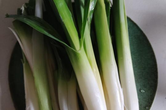 Poireaux du Jardin